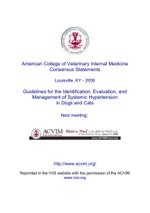 Guidelines for the Identification, Evaluation, and Management