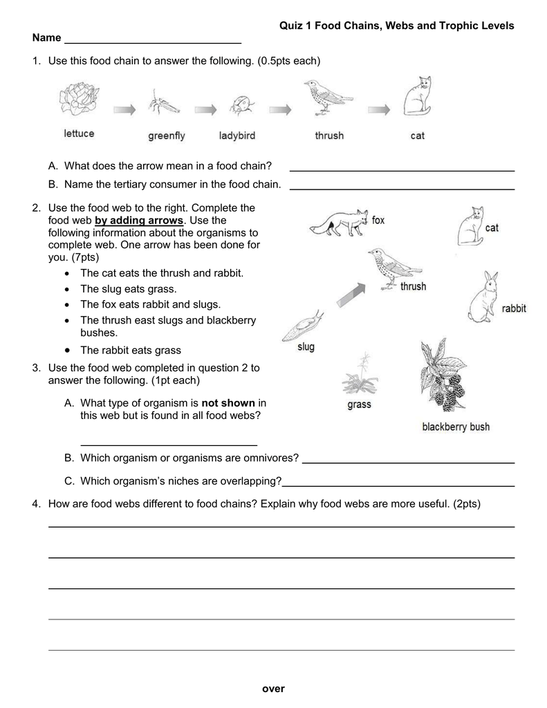 Question Worksheet Category Page 2 Worksheeto Com Food Chain Worksheet Food Web Worksheet Food Chain