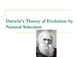 Chpt. 15.1- Darwin`s Theory of Evolution by Natural Selection