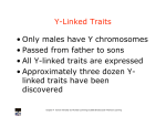 Y-Linked Traits • Only males have Y chromosomes • Passed from