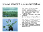 Invasive species threatening Zimbabwe ...download here
