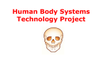 Human Body Overview - Madison County Schools