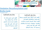 Oxidative Decarboxylation and Krebs Cycle