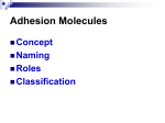 vascular cell adhesion molecules