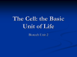 The Cell: the Basic Unit of Life