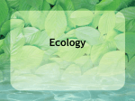 Ecology