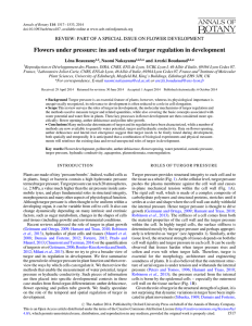 Flowers under pressure: ins and outs of turgor regulation in