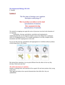 Developmental Biology BY1101 Lecture 6 The first steps to forming