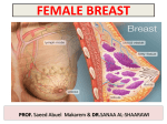 female breast