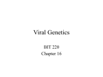 Viral Genetics