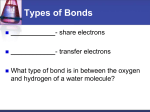 Molecules of Life PowerPoint Student