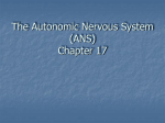 Autonomic Nervous System (ANS)