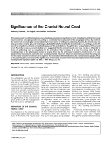 Significance of the cranial neural crest