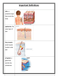 Skin Definitions with Pictures