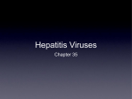 Chapter 35 Hepatitis viruses