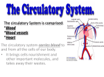 The circulatory System is comprised: *Blood *Blood vessels *Heart