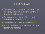 Cardiac Cycle (PPT#4)