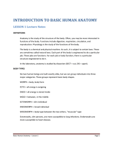 introduction to basic human anatomy