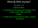 Nucleic Acids PP