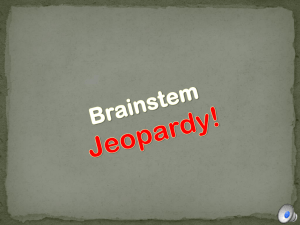 Brainstem Jeopardy!