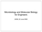 Microbiology and Molecular Biology for Engineers