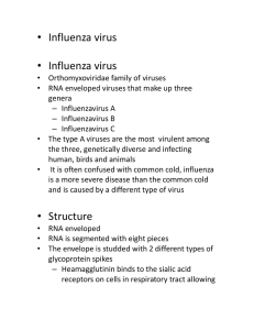 Bird Flu or avian influenza virus