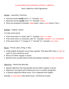 Noun/Adjective/Article Agreement