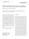 Replication of infectious Pancreatic Necrosis Virus in different cell