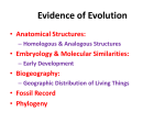 Evidence of Evolution - Northwest ISD Moodle