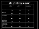 Life Cycle Summary