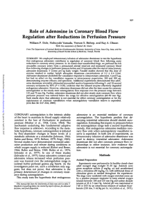 Role of Adenosine in Coronary Blood Flow Regulation after