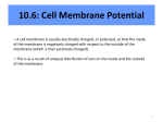 10.6: Cell Membrane Potential