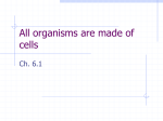 All organisms are made of cells