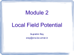 Local Field Potential