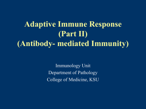 Adaptive Immune Response (Part II) (Antibody