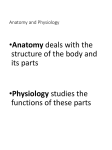 Principle Cavities of the Body