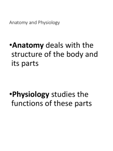 Principle Cavities of the Body