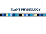 PLANT PHYSIOLOGY