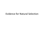 BIO Evidence for Natural Selection