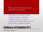 Evidence of Evolution Pt 2