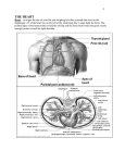 Circulatory System Part 2
