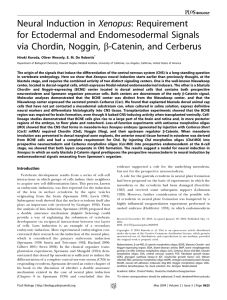 Neural Induction in Xenopus: Requirement for Ectodermal and
