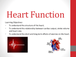 Heart Function