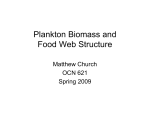 Plankton Biomass and Food Web Structure