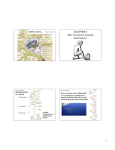 CHAPTER 4 How do neurons transmit information?