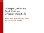 Pathogen Control and Public Health at