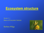 2006-04-06 - Ecosystem Structure - uni