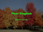 Plant Kingdom2011