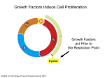 Cell Cycle III