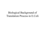 E.Coli Biological Background of Translation Initiation and
